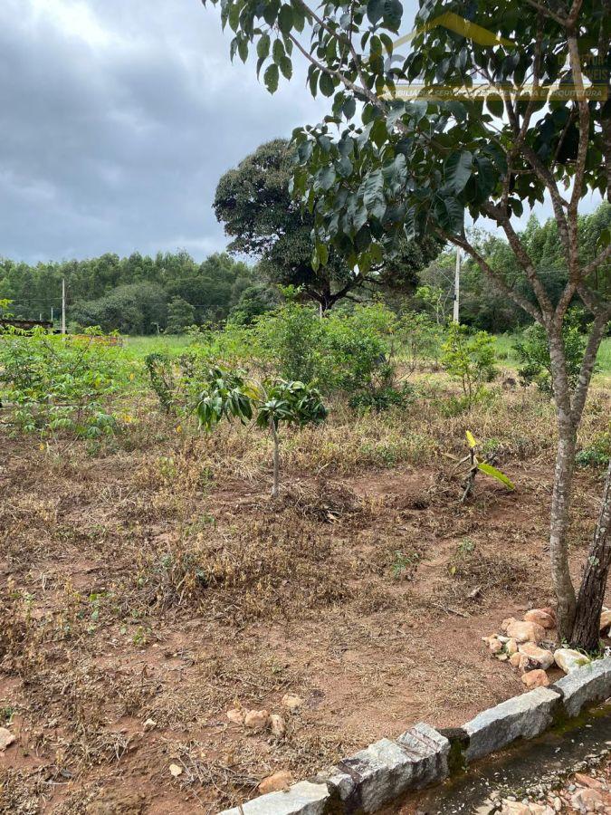 WhatsApp Image 2026-02-27 at 10.27.51 (3).jpeg